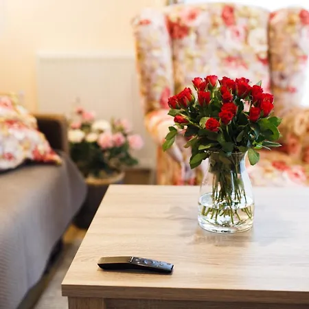 Apartament Przytulny Lesne Tarasy - Aprent 드지우노웨크